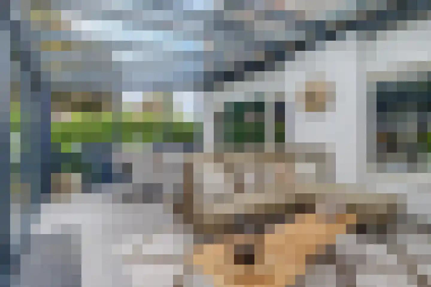 Molensteen 10 Huissen thumbnail 44