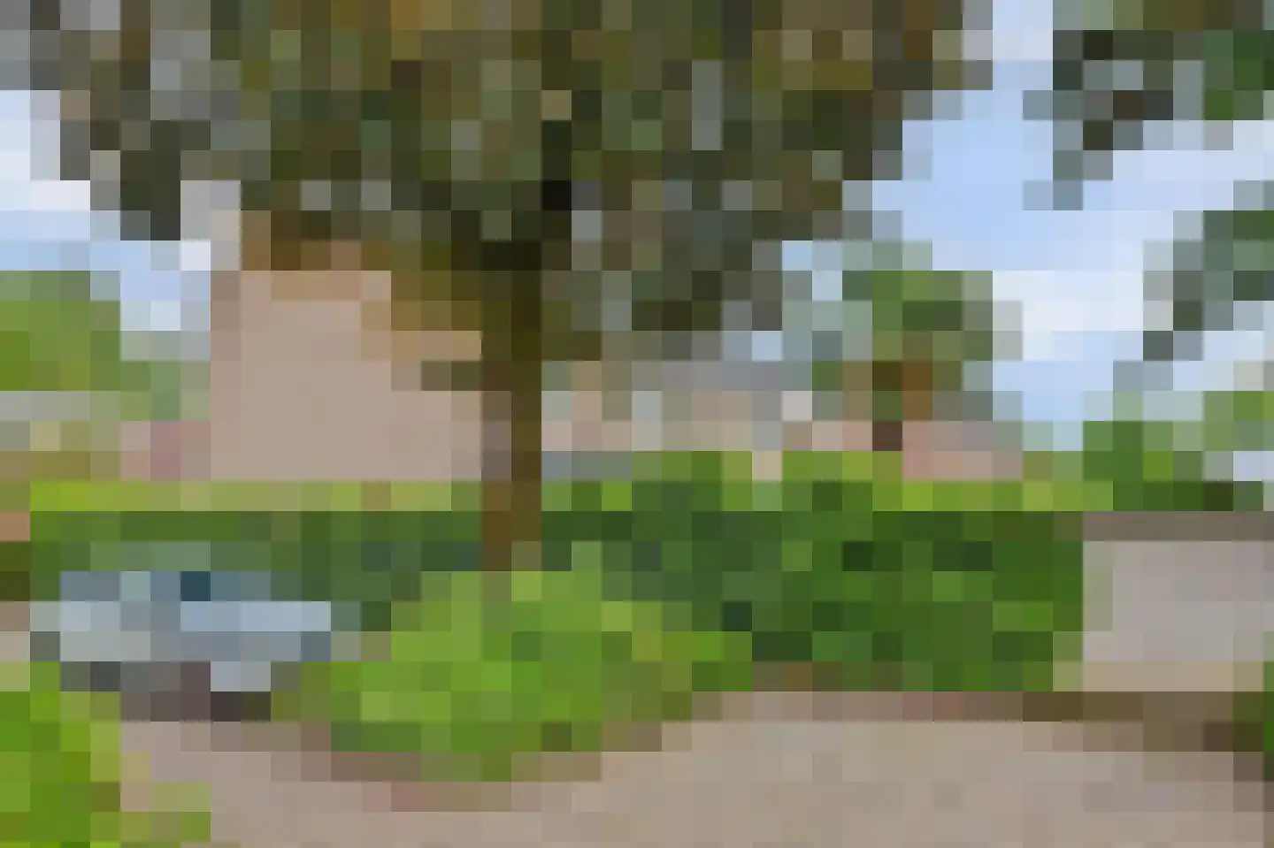 Molensteen 10 Huissen thumbnail 56
