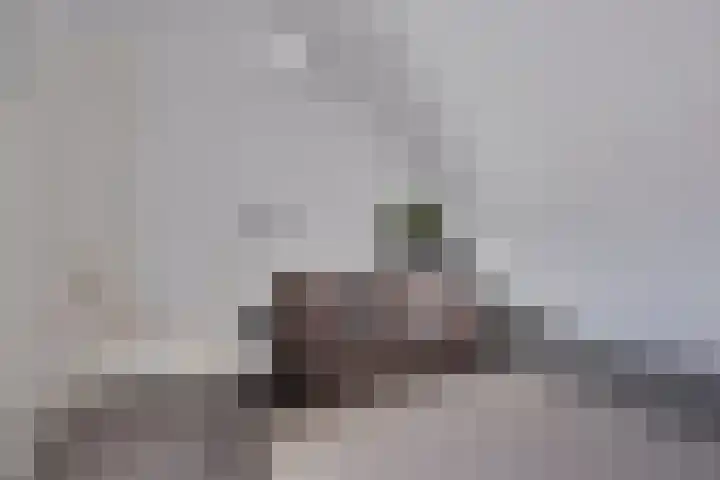 Molensteen 13 Nistelrode thumbnail 26
