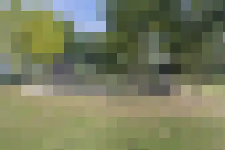 Molensteen 13 Nistelrode thumbnail 32