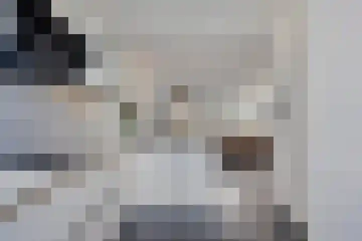 Molensteen 13 Nistelrode thumbnail 4