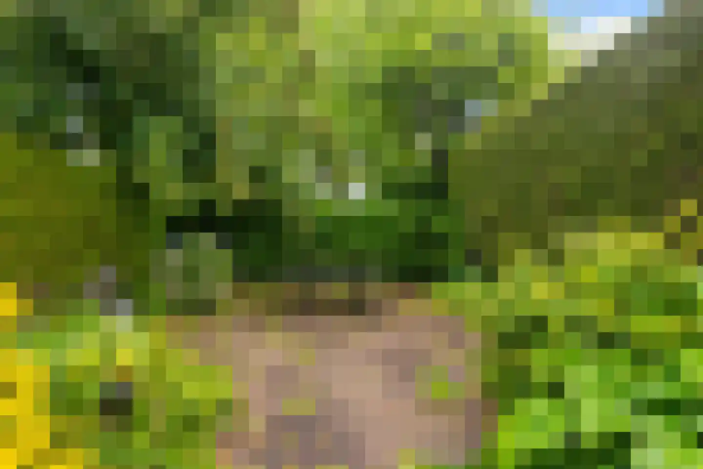Molensteen 17 Huissen thumbnail 10