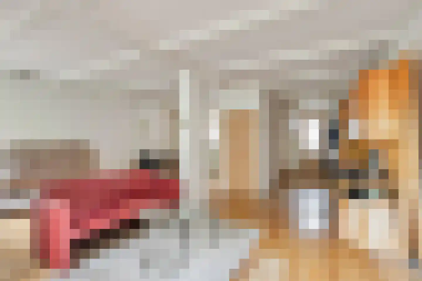 Molensteen 17 Huissen thumbnail 11