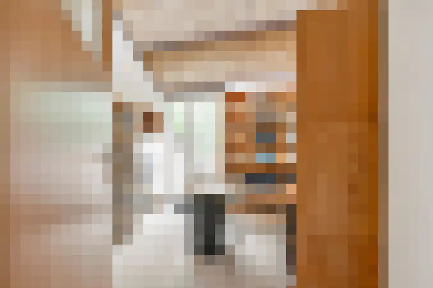 Molensteen 17 Huissen thumbnail 18