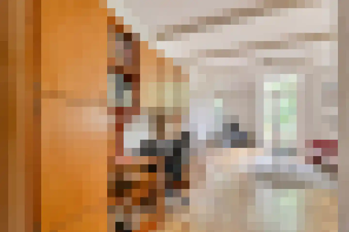 Molensteen 17 Huissen thumbnail 7
