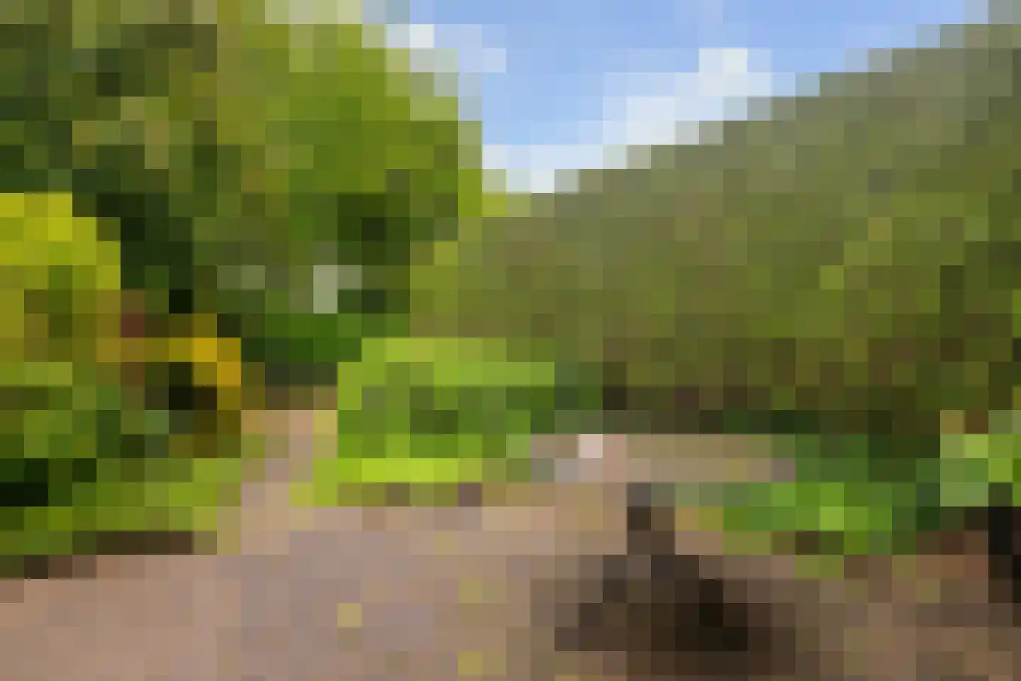 Molensteen 17 Huissen thumbnail 9