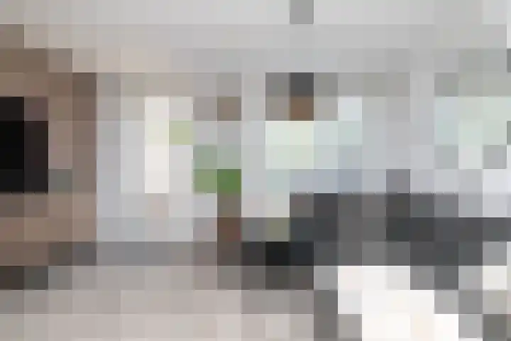 Molensteen 21 Nistelrode thumbnail 13