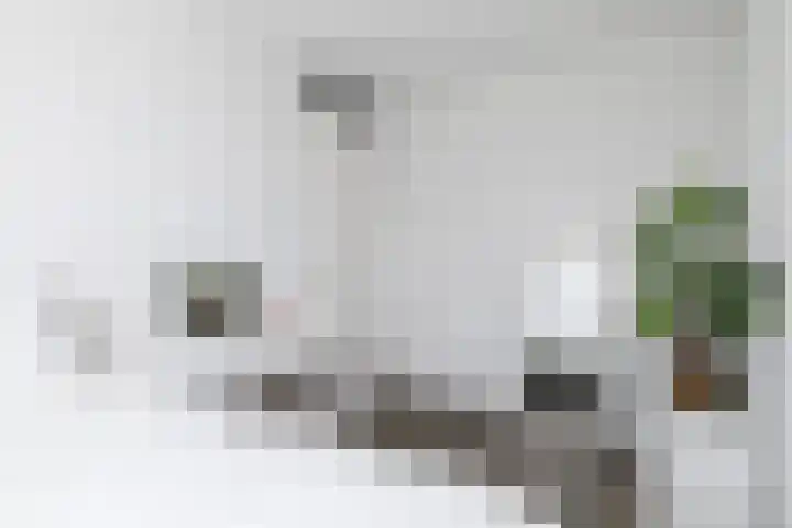 Molensteen 21 Nistelrode thumbnail 31