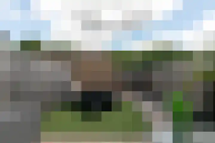 Molensteen 21 Nistelrode thumbnail 37