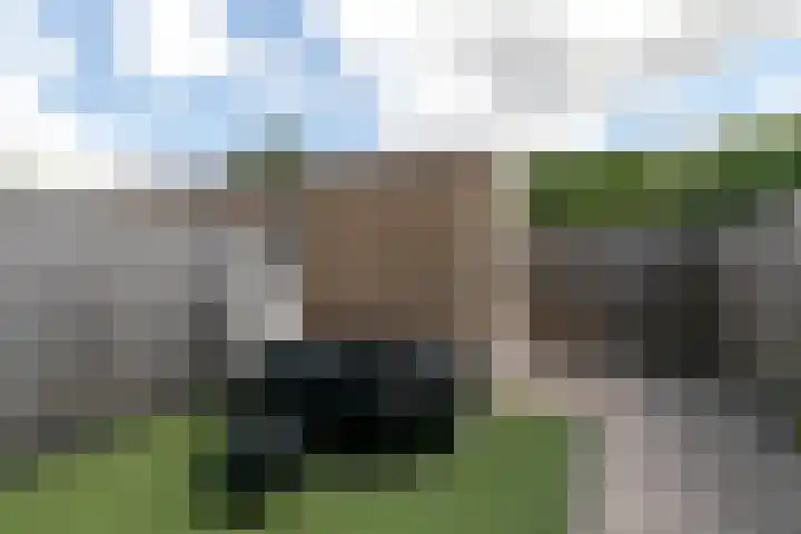 Molensteen 21 Nistelrode thumbnail 38