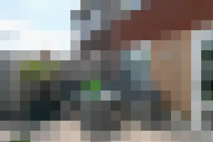 Molensteen 21 Nistelrode thumbnail 43