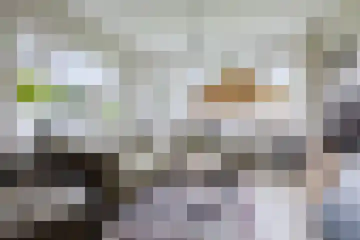 Molenstelle 2 Sintjohannesga thumbnail 17