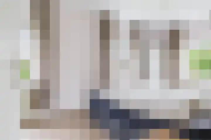 Molenstelle 2 Sintjohannesga thumbnail 20