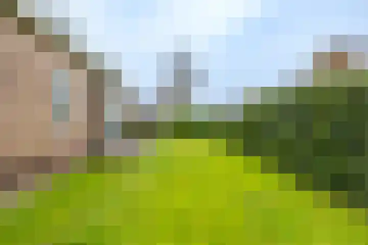 Molenstelle 2 Sintjohannesga thumbnail 31