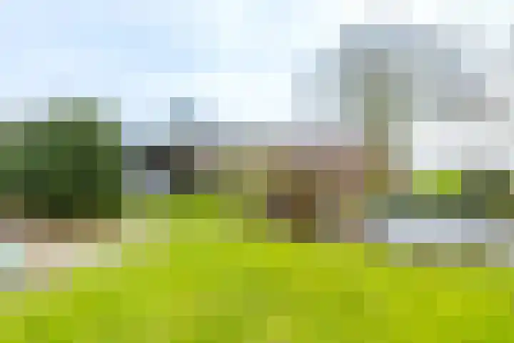 Molenstelle 2 Sintjohannesga thumbnail 32