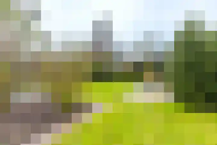 Molenstelle 2 Sintjohannesga thumbnail 34