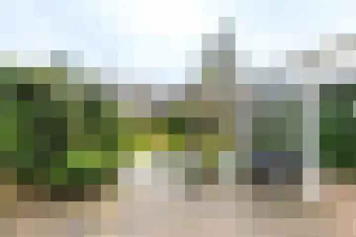 Molenstelle 2 Sintjohannesga thumbnail 35