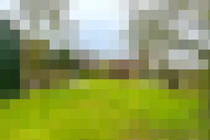 Molenstelle 2 Sintjohannesga thumbnail 36