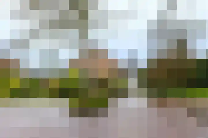 Molenstelle 2 Sintjohannesga thumbnail 5