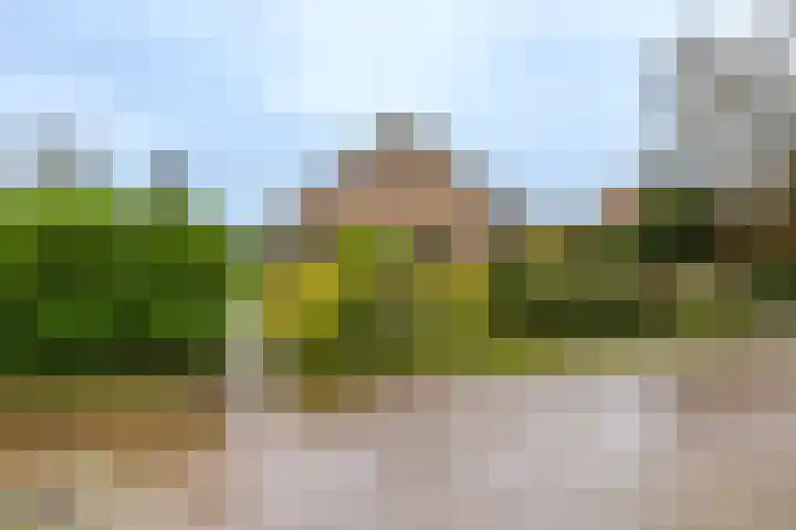 Molenstelle 2 Sintjohannesga thumbnail 6