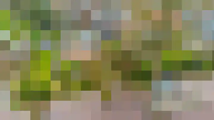 Molenstelle 2 Sintjohannesga thumbnail 7