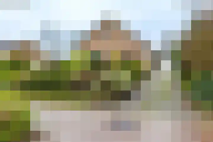 Molenstelle 2 Sintjohannesga thumbnail 8