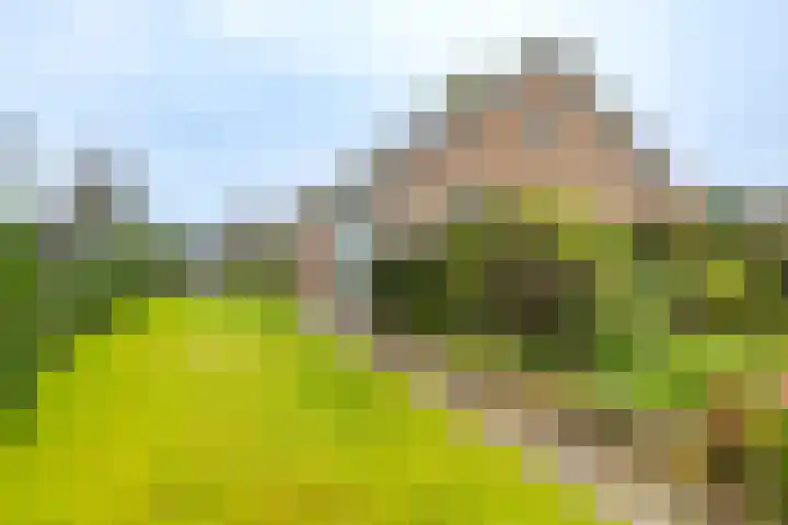 Molenstelle 2 Sintjohannesga thumbnail 9