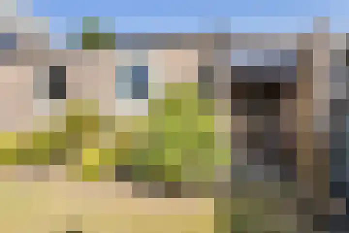 Molenstelle 7 Sintjohannesga thumbnail 18