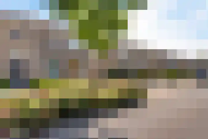 Molenstelle 7 Sintjohannesga thumbnail 20