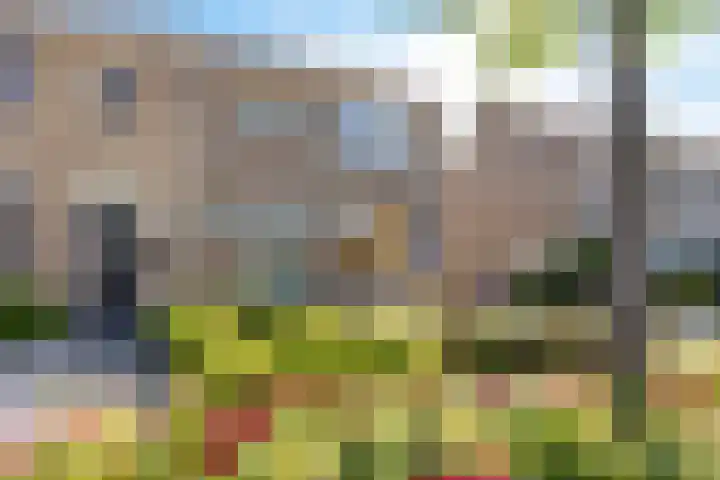 Molenstelle 7 Sintjohannesga thumbnail 4