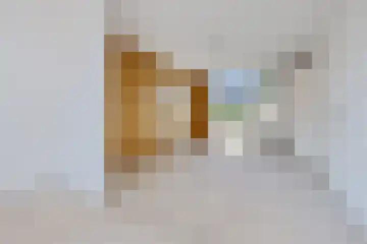 Molenstelle 7 Sintjohannesga thumbnail 5