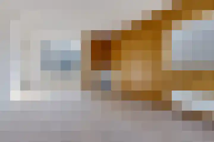 Molenstelle 7 Sintjohannesga thumbnail 6