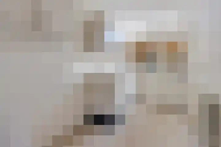Molenstelle 7 Sintjohannesga thumbnail 9