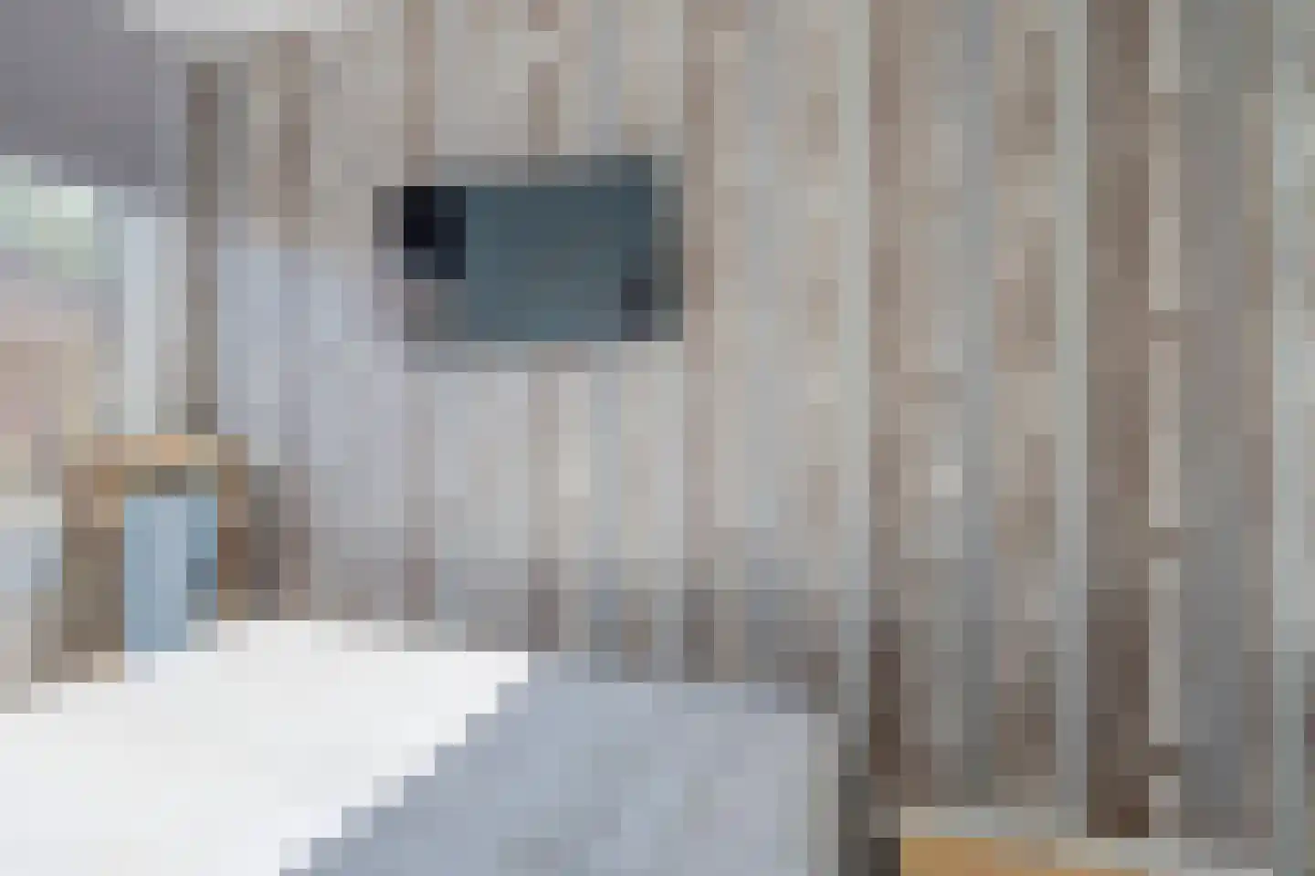 Molenstraat 1 A De Lier thumbnail 17