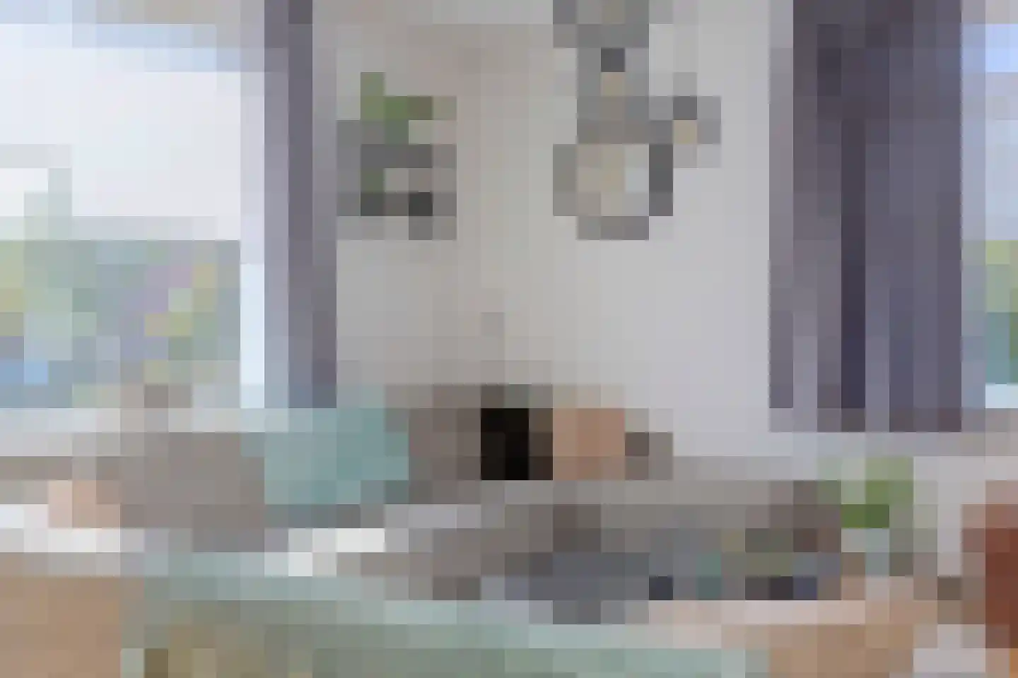 Molenstraat 1 A De Lier thumbnail 8