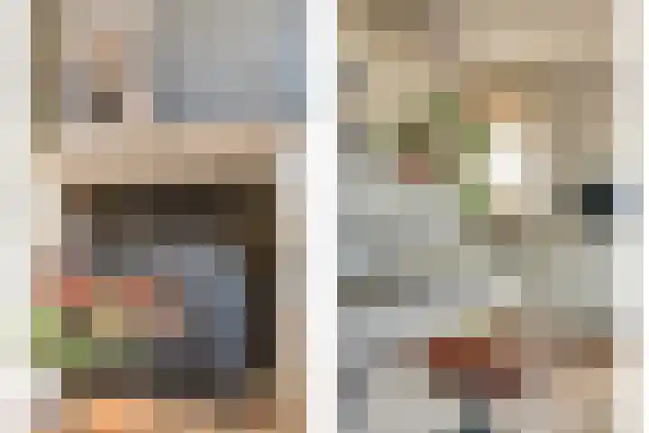 Molenstraat 1 A Hoedekenskerke thumbnail 11