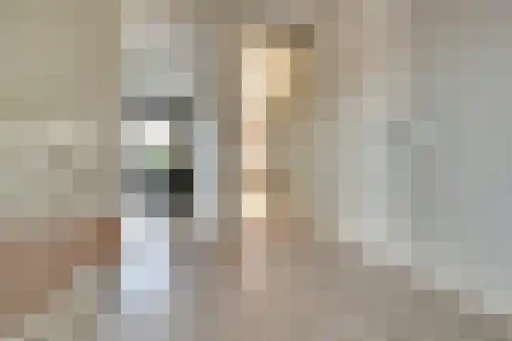 Molenstraat 1 A Hoedekenskerke thumbnail 20