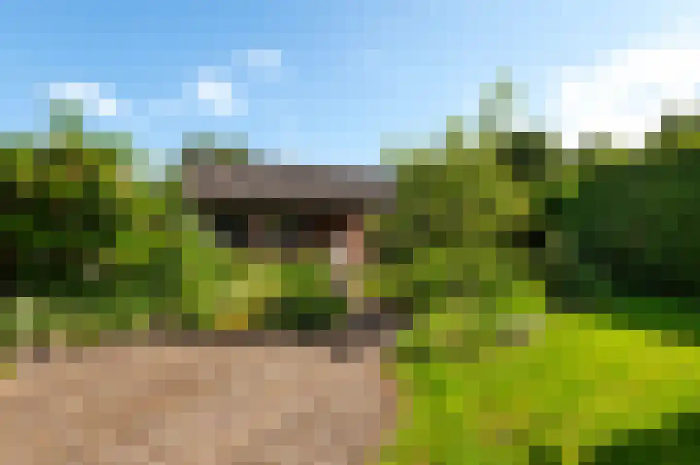 Molenstraat 1 a Markelo thumbnail 4