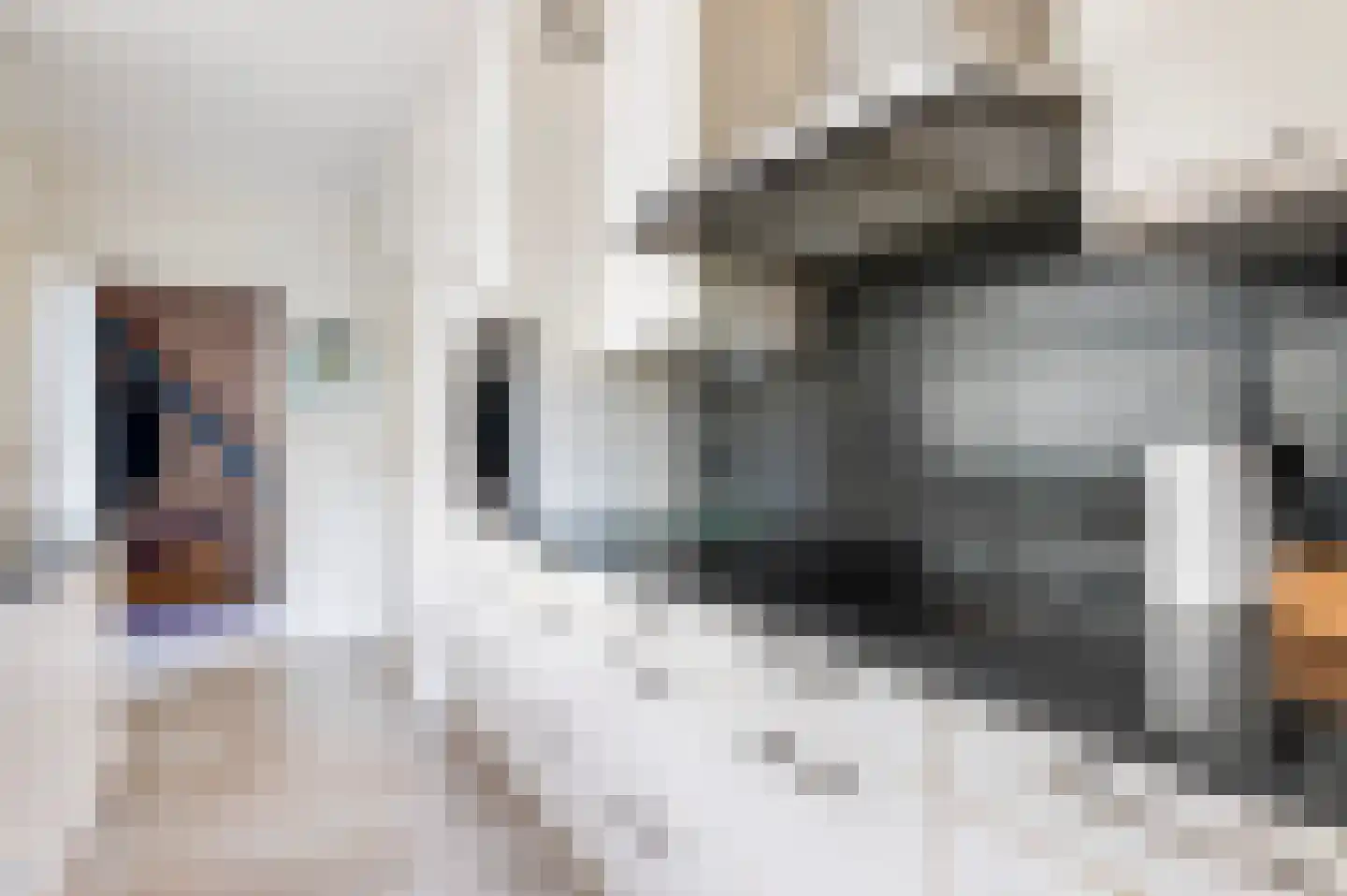 Molenstraat 1 a Markelo thumbnail 7
