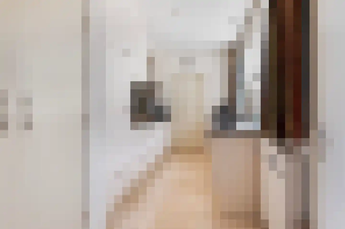 Molenstraat 1 a Markelo thumbnail 8