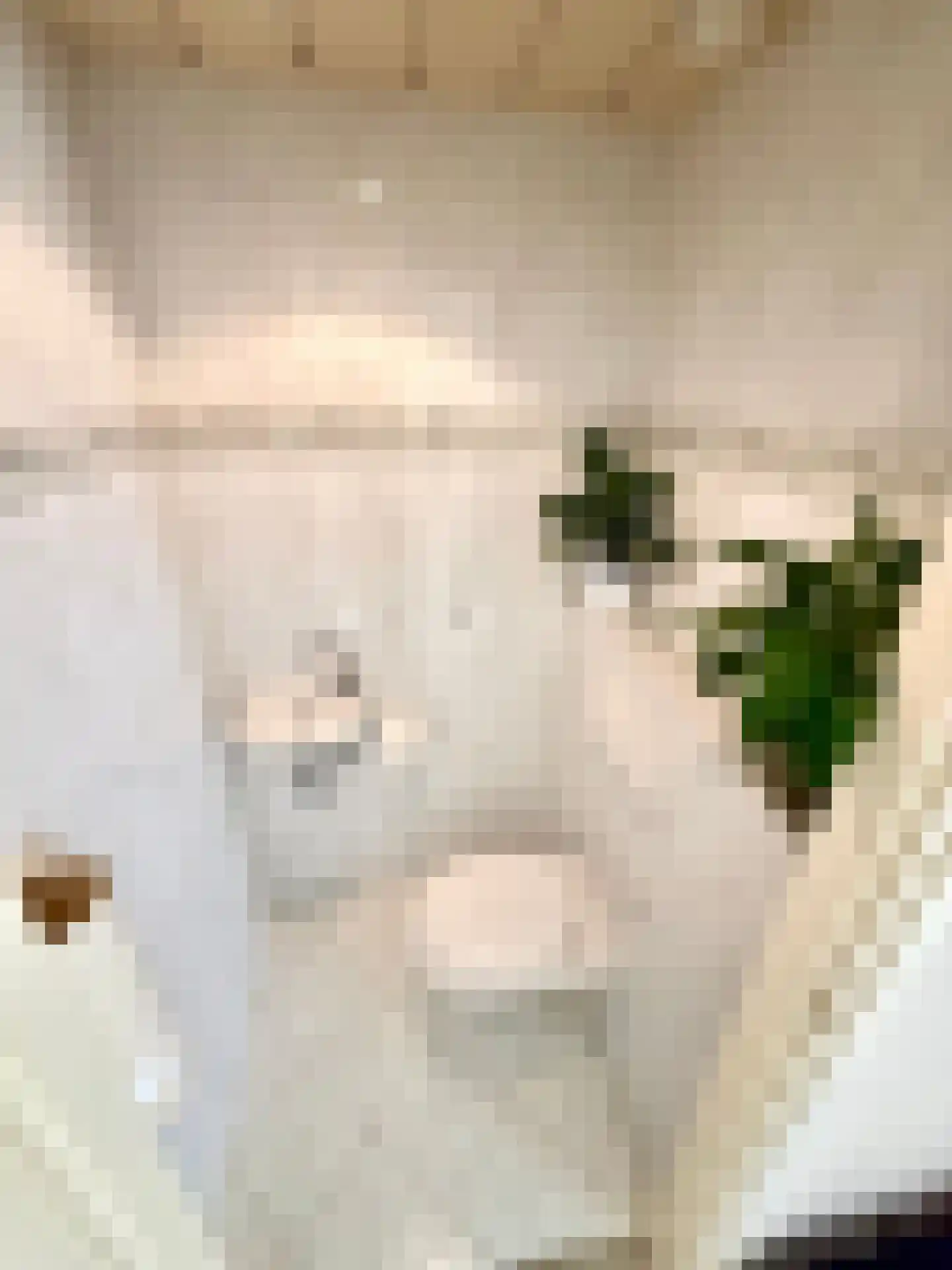 Molenstraat 1 A Monster thumbnail 12