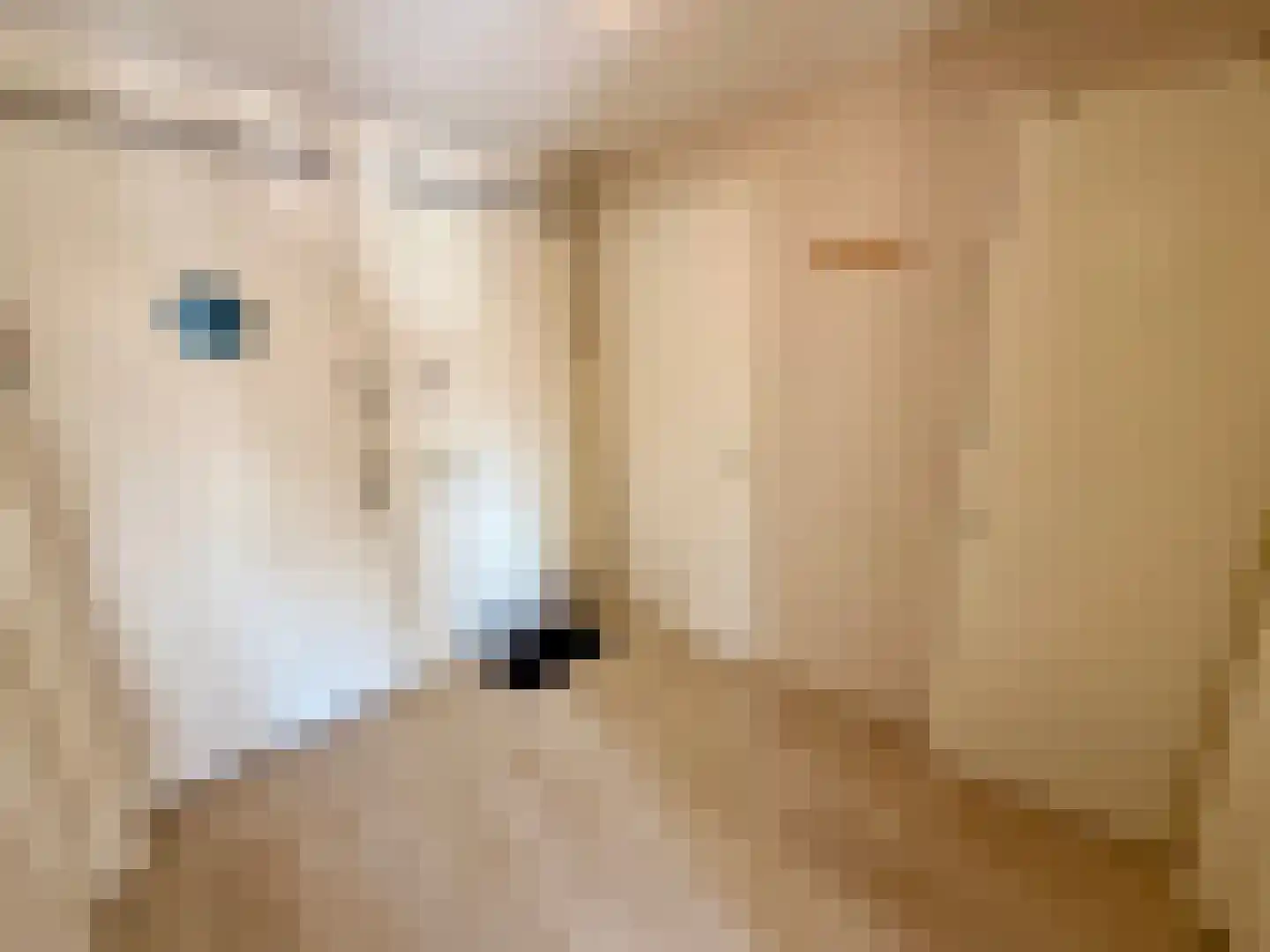 Molenstraat 1 A Monster thumbnail 13