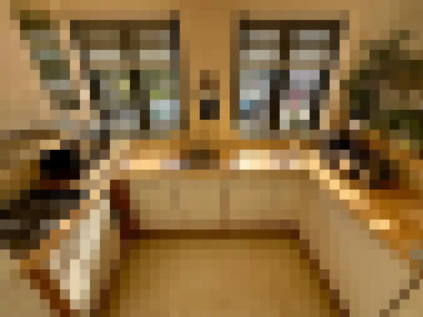 Molenstraat 1 A Monster thumbnail 5