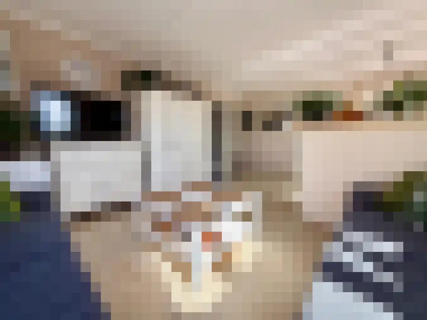 Molenstraat 1 A Monster thumbnail 6