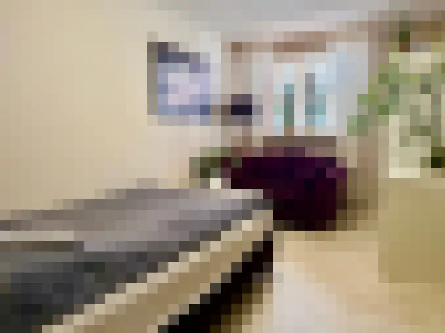 Molenstraat 1 A Monster thumbnail 8