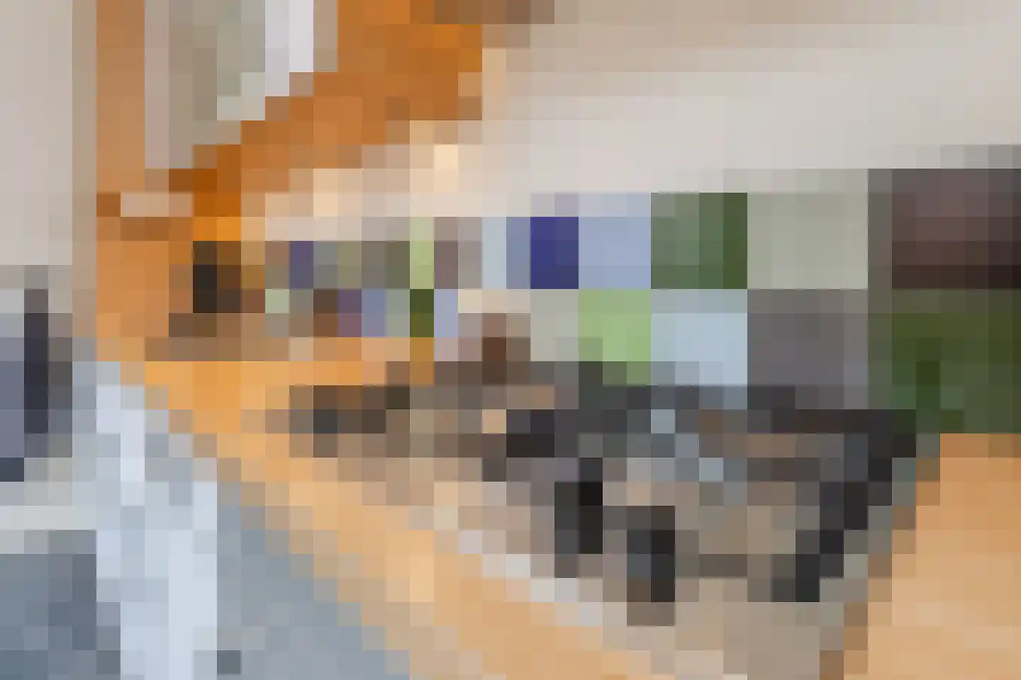 Molenstraat 1 b Lochem thumbnail 20
