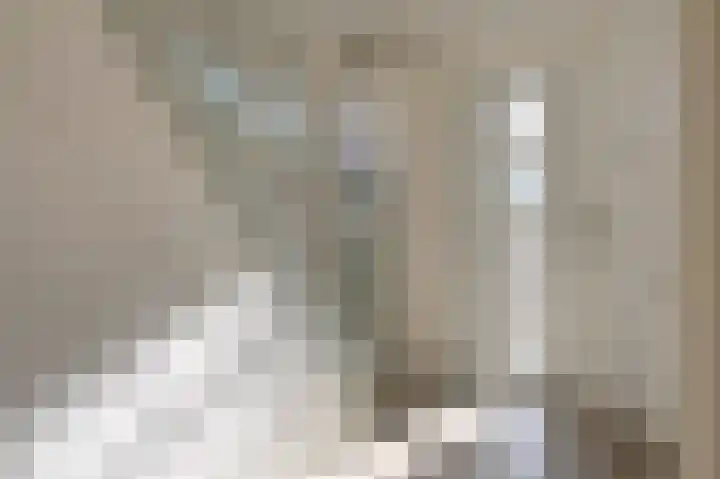 Molenstraat 1 Bad Nieuweschans thumbnail 13