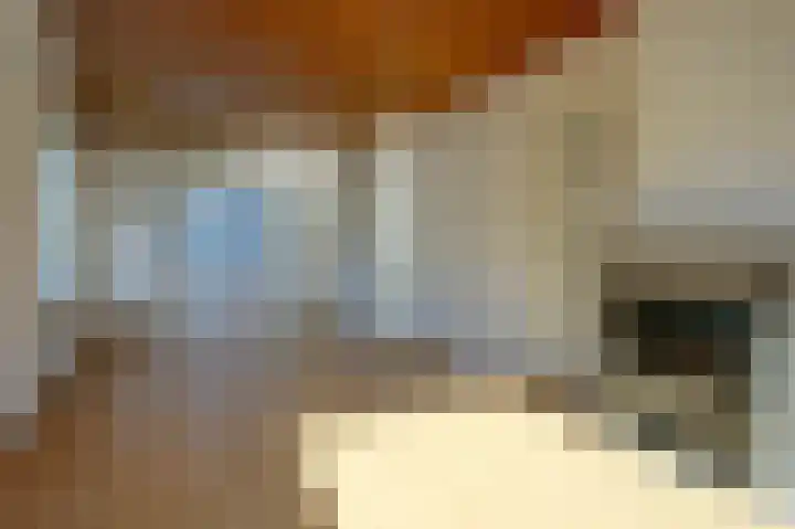 Molenstraat 1 Bad Nieuweschans thumbnail 14