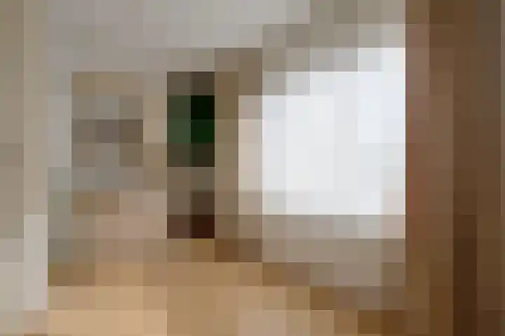 Molenstraat 1 Bad Nieuweschans thumbnail 26