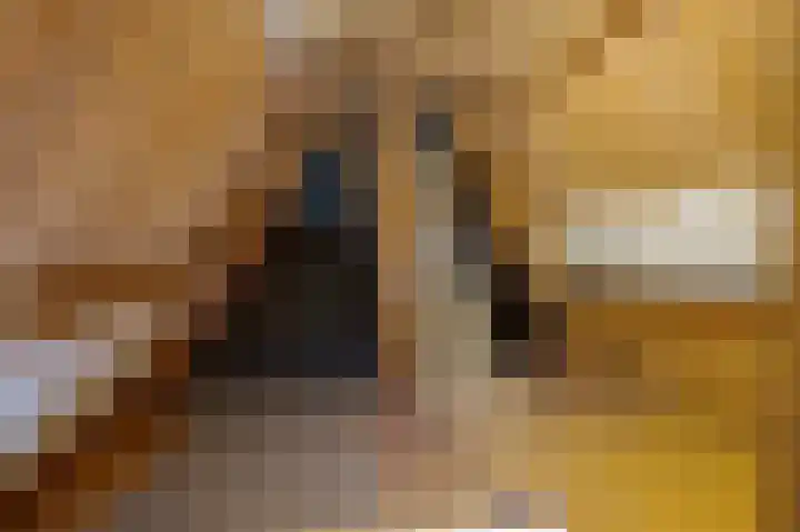 Molenstraat 1 Bad Nieuweschans thumbnail 32